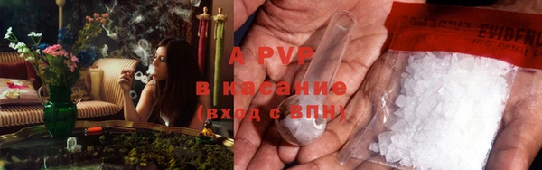 твердый Новокубанск
