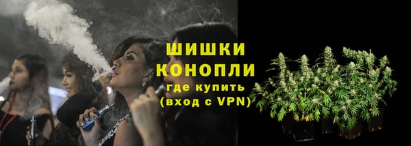 бошки Алексин