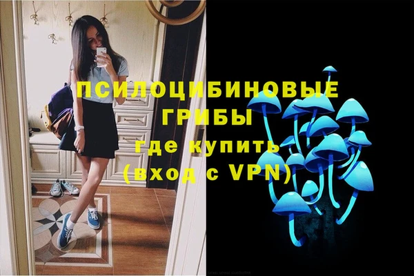 каннабис Алексеевка