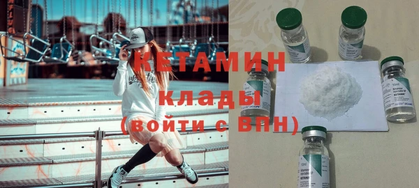 прущие грибы Новодвинск