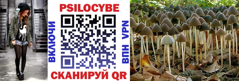 Псилоцибиновые грибы Cubensis хочу наркоту Межгорье